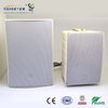 Wall-mounted column speaker-BS-1030WA