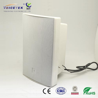 Wall-mounted column speaker-BS-1030WA